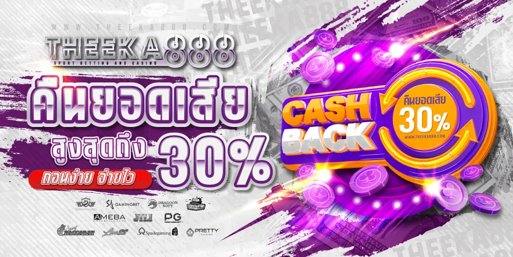 THEEKA888 เว็บตรง บาคาร่า สล็อต ฝากถอนออโต้